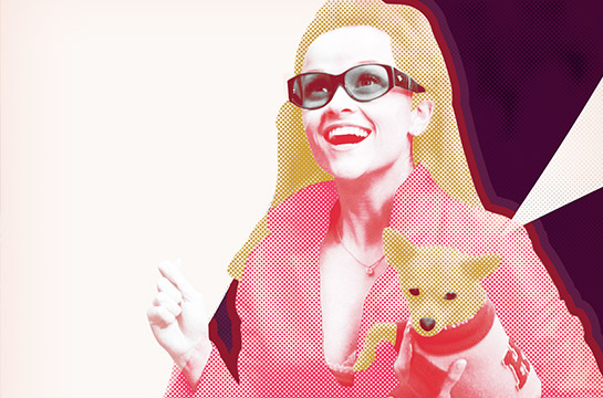 What Legally Blonde Can Teach You About Marketing Your Creative Business