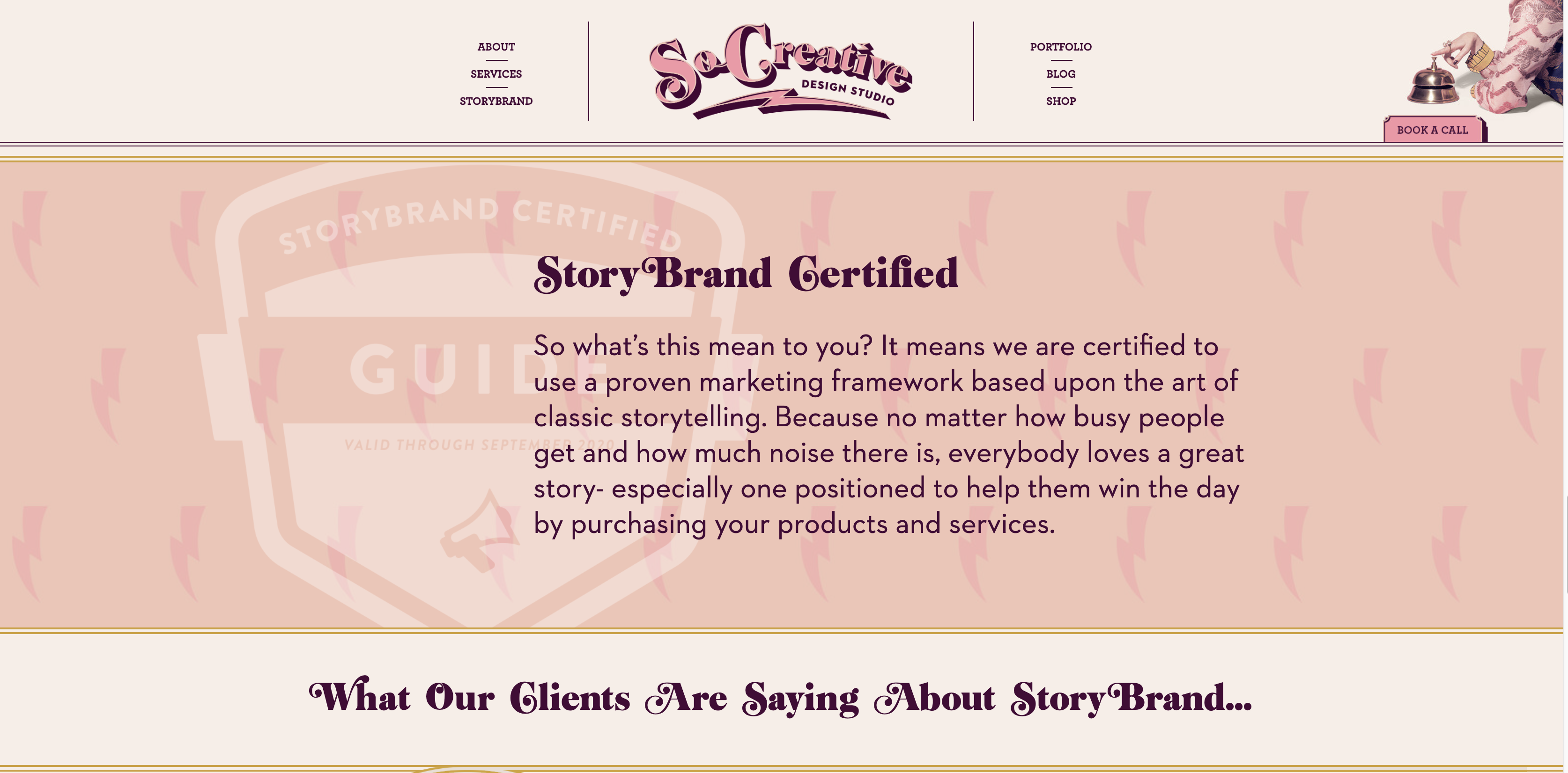 storybrand framework guide authority